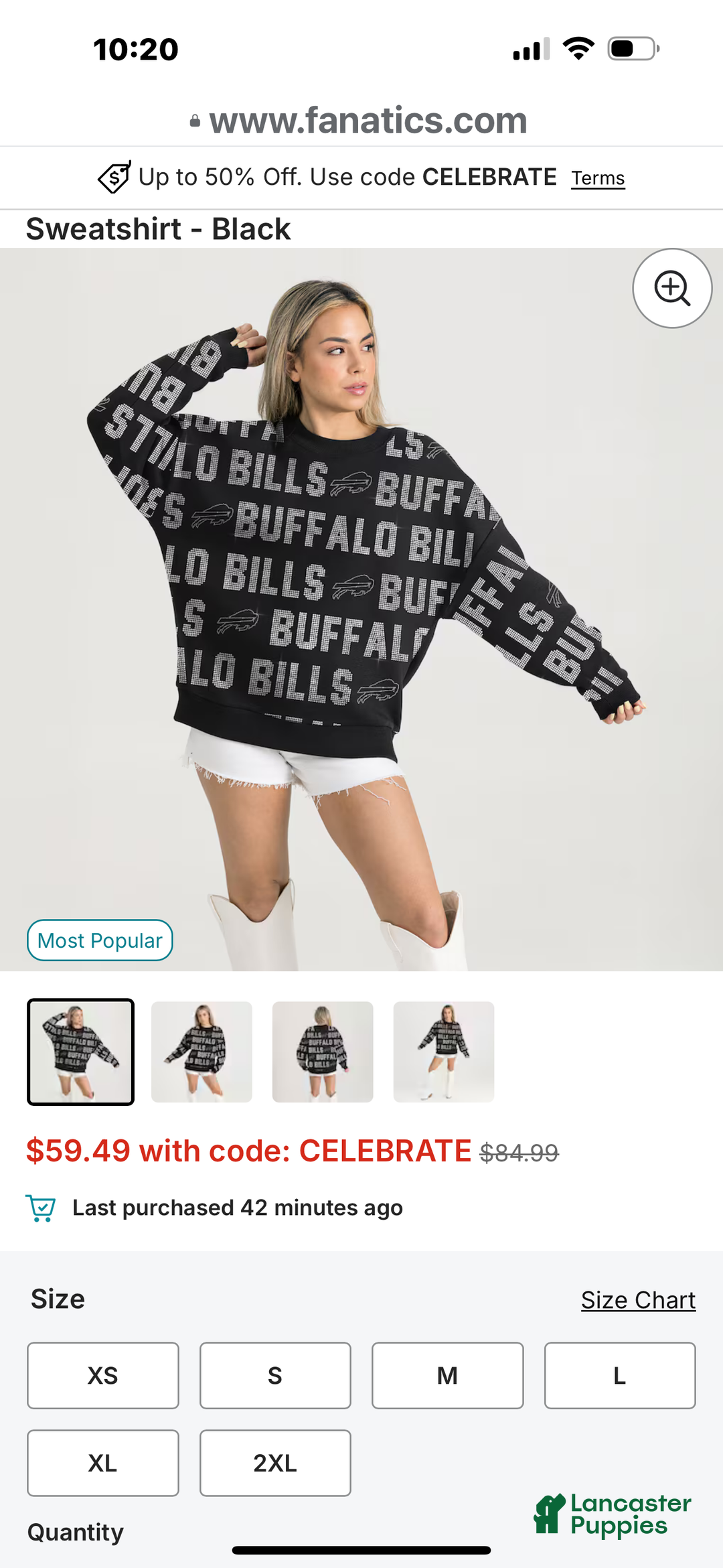 Yorkshire Terrier dogs for sale: Yorkshire Terrier Puppy female 2 - Ad 8