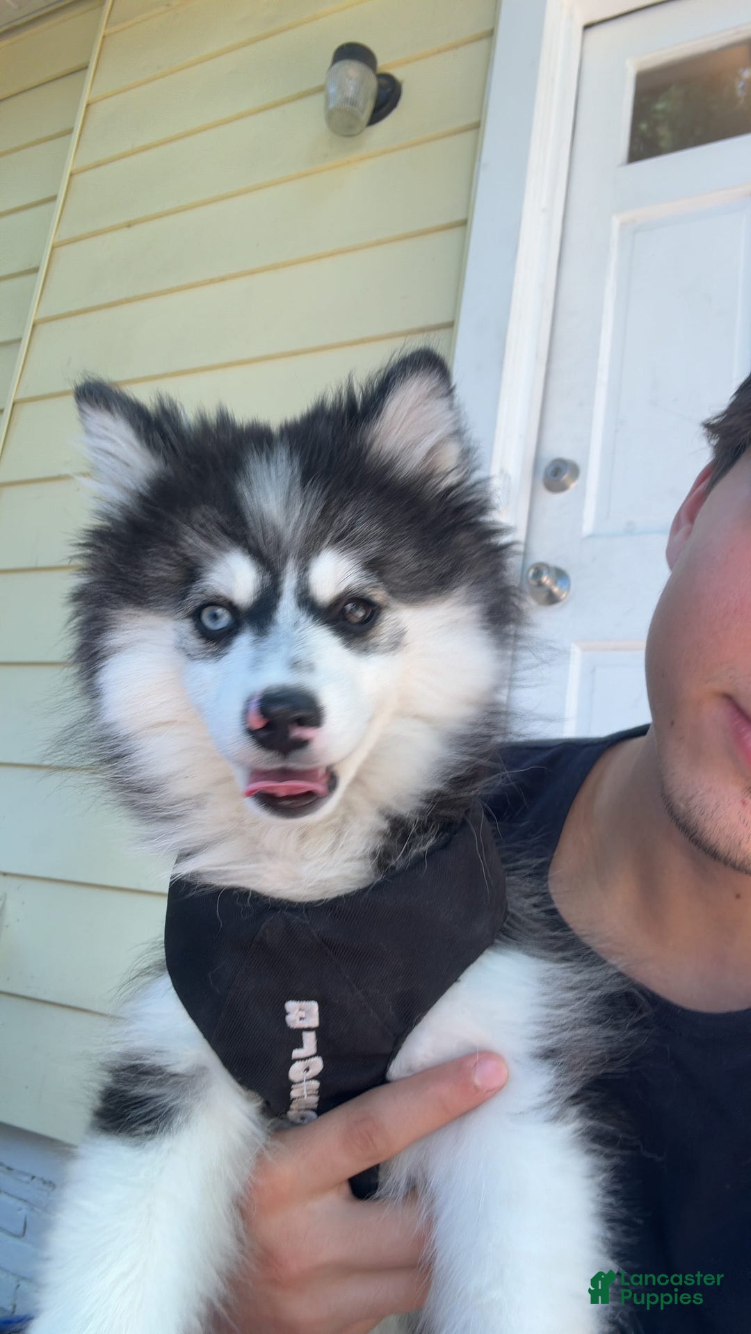 Gallery Image {{count}}