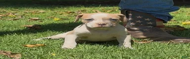 Boy 2