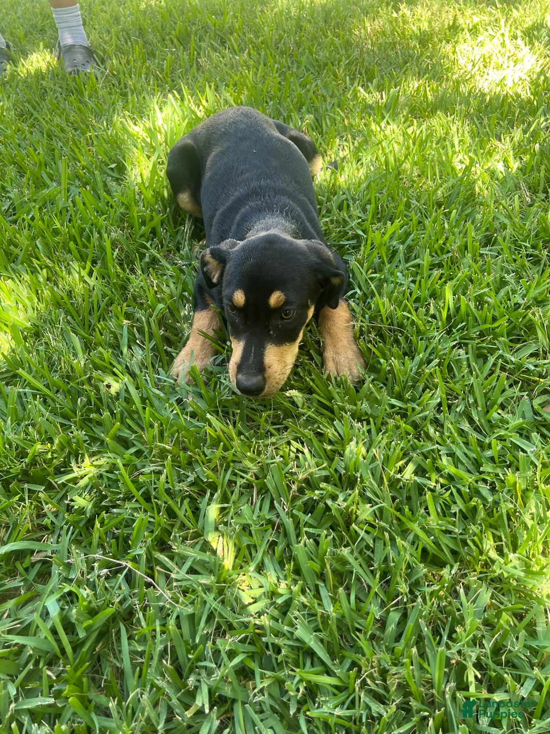 Gallery Image {{count}}