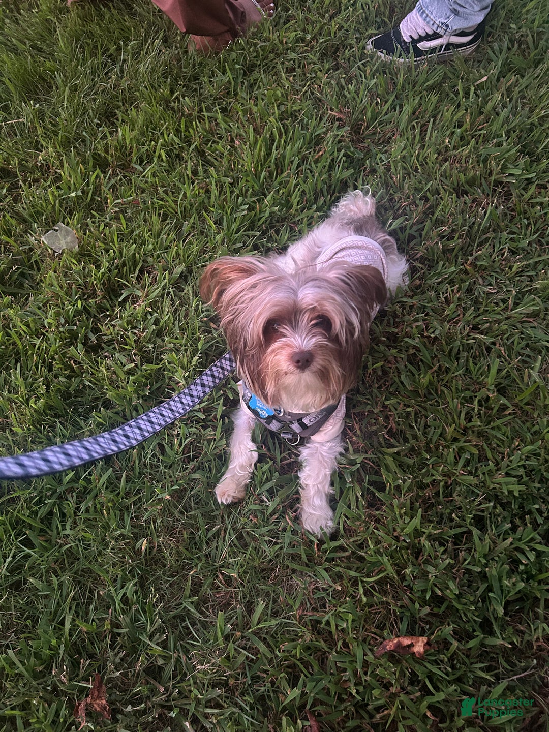 Gallery Image {{count}}