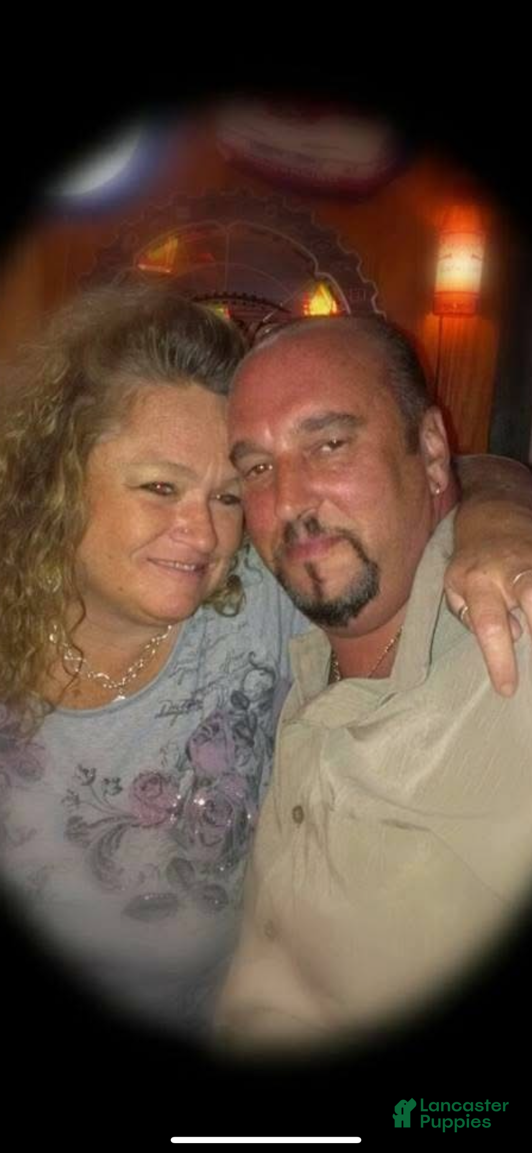 Yorkshire Terrier dogs for sale: Moes Tiny baby boy - Ad 5