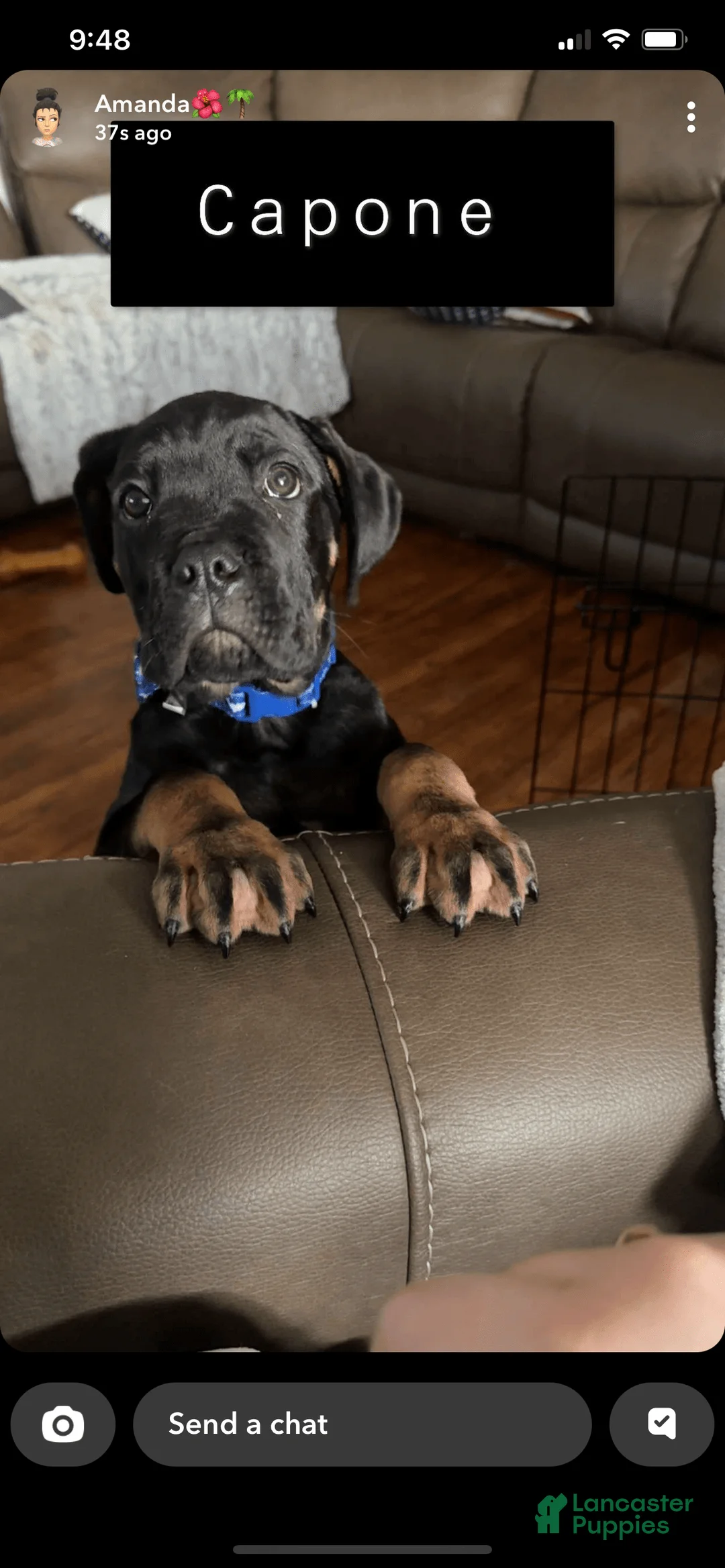 Gallery Image {{count}}