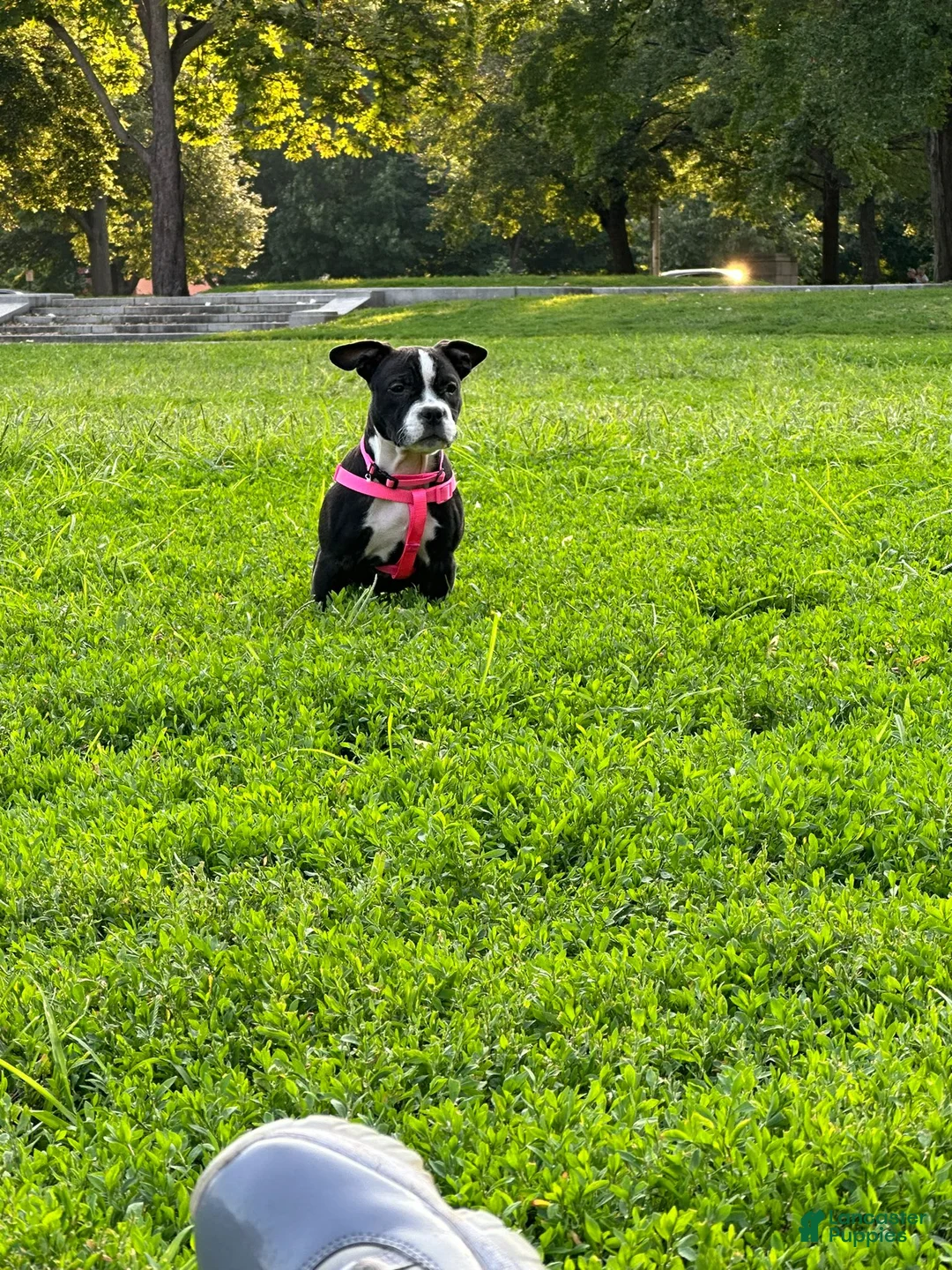 Gallery Image {{count}}