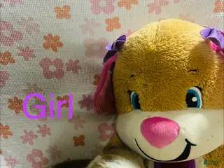 Welsh Corgi Pembroke dogs Welsh Corgi Pembroke Puppy 3 - Ad 2