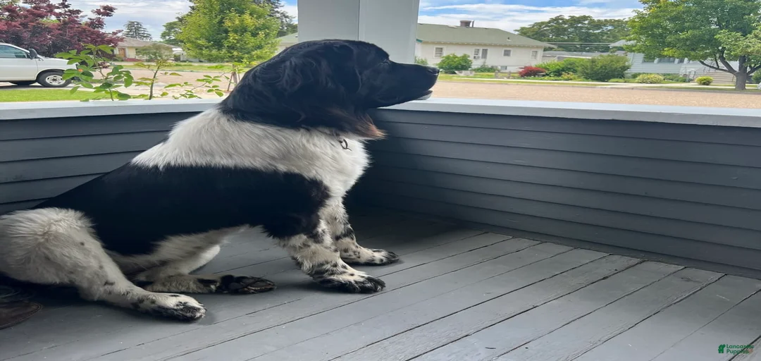 Gallery Image {{count}}