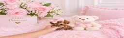 Toy Poodle dogs for sale: Toy Poodle  - Ad 2