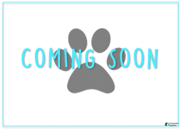 Cavapoo dogs Striker - Ad 35