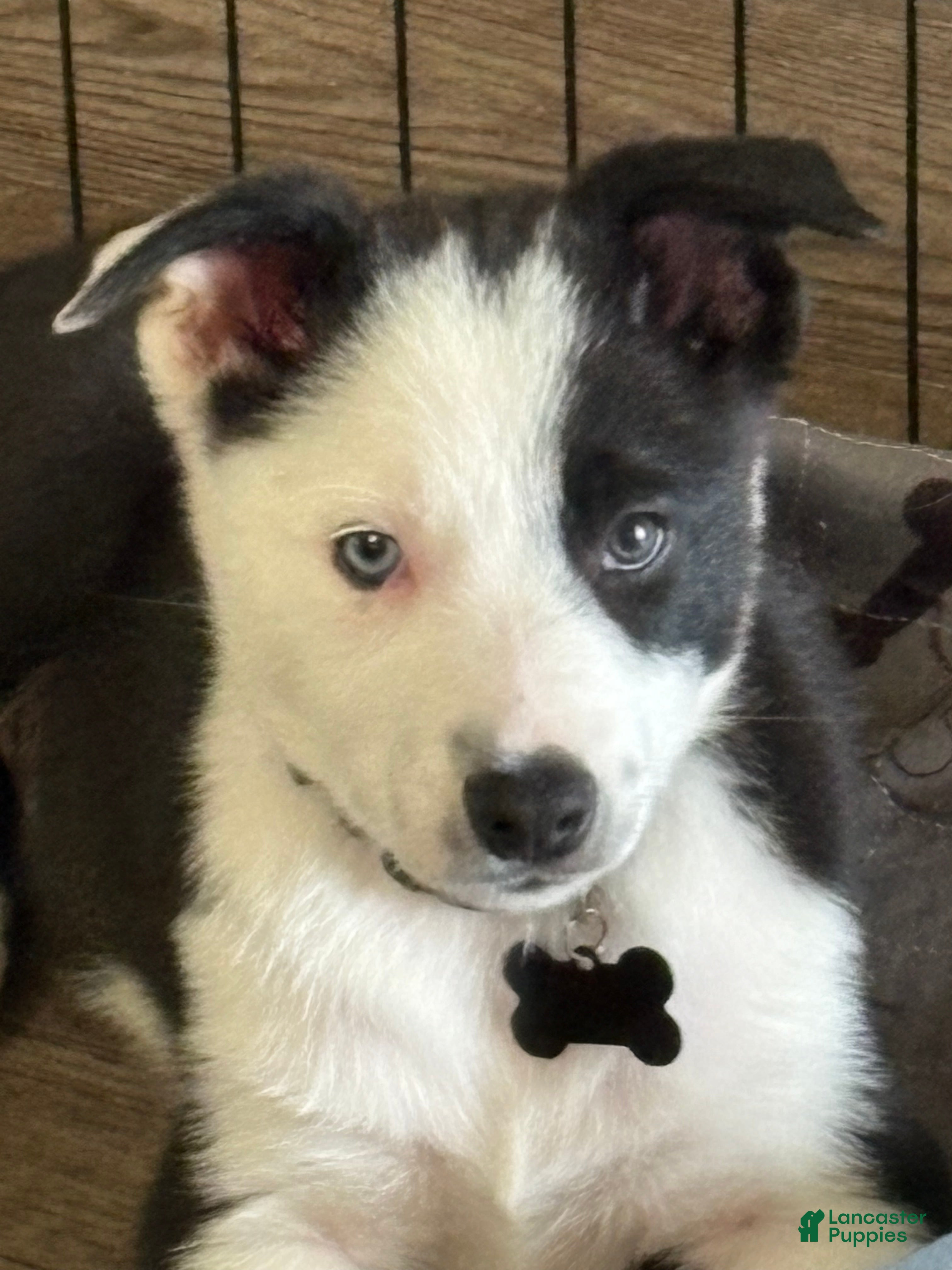Axle