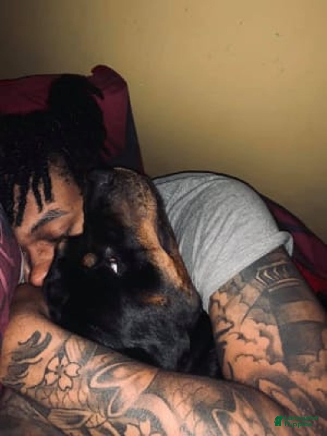 Gallery Image {{count}}