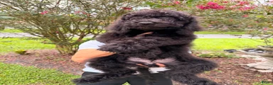 Sam
