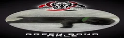 Cane Corso dogs for sale: Cane Corso Puppy 3 - Ad 1