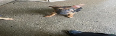 Tiny girl