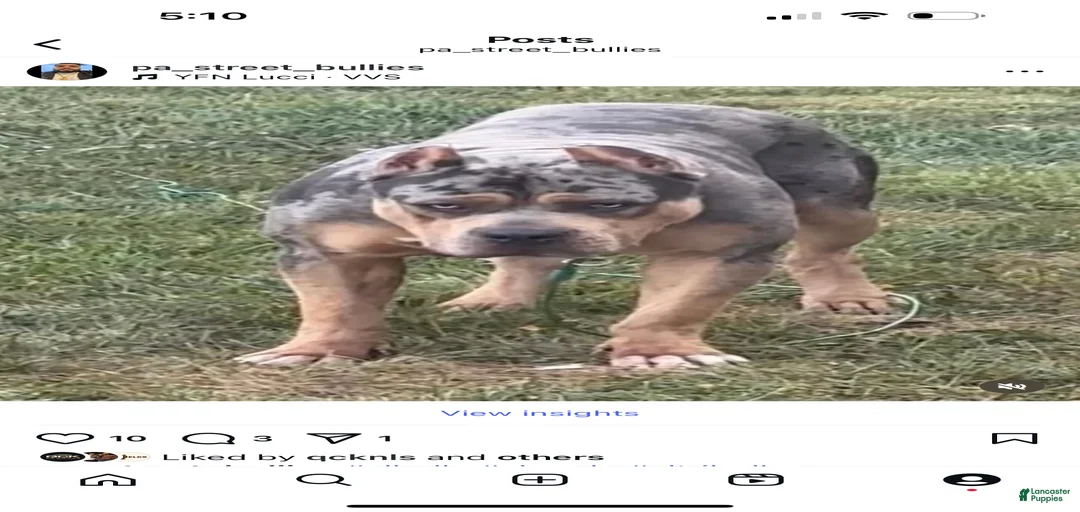 Gallery Image {{count}}