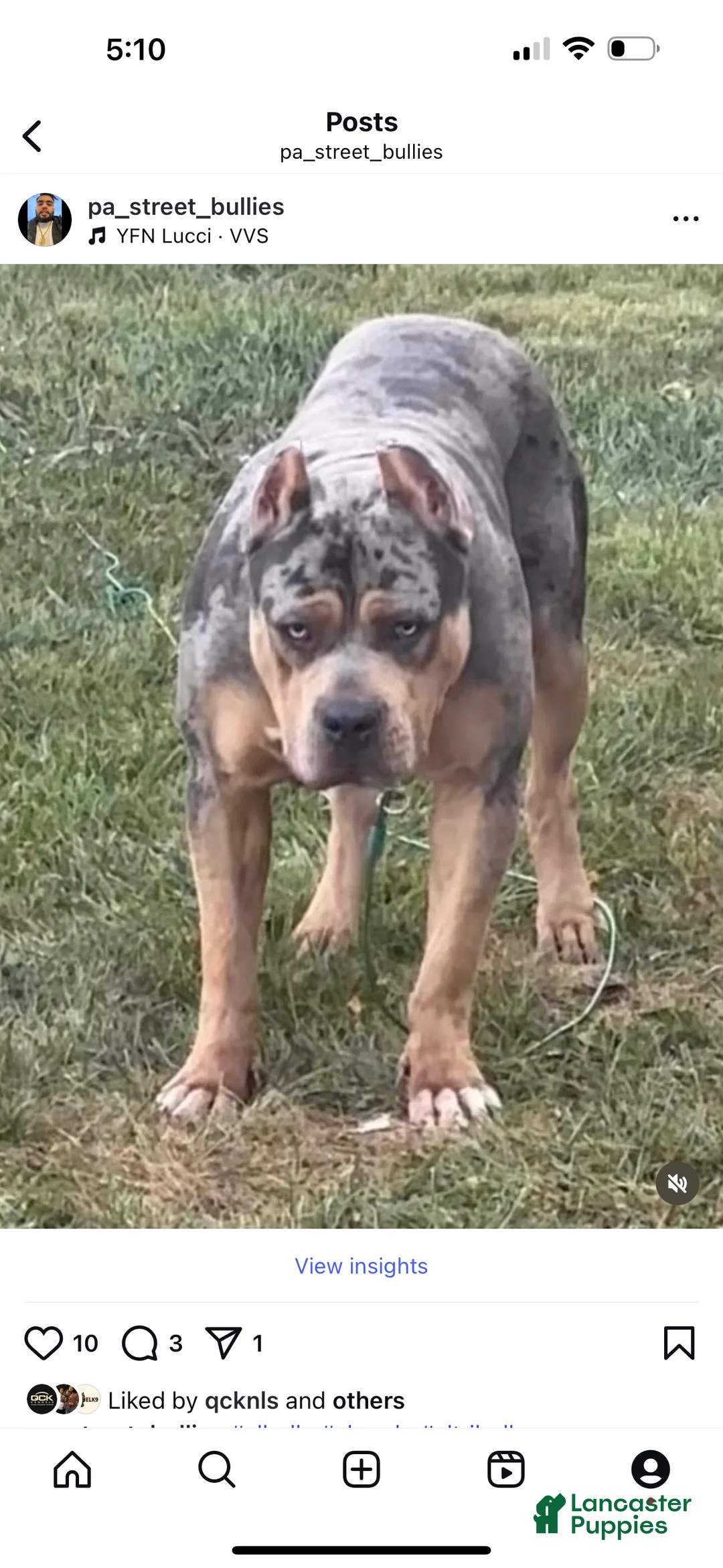 Gallery Image {{count}}