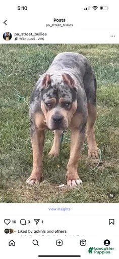 Gallery Image {{count}}