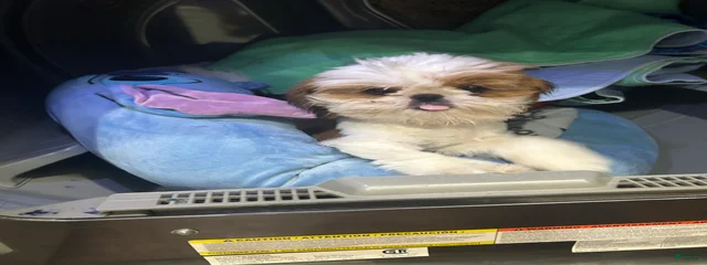 Charlie