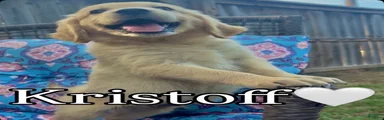 Kristoff