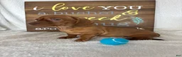 Dachshund dogs for sale: Dexter - Ad 6