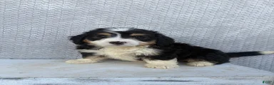 Skye