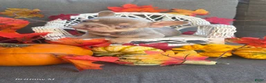 French Bulldog 1