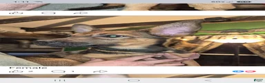 Mixed Breed Puppy 5