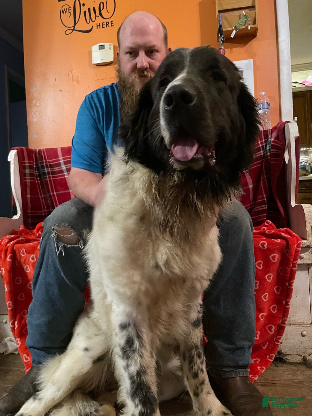 Gallery Image {{count}}