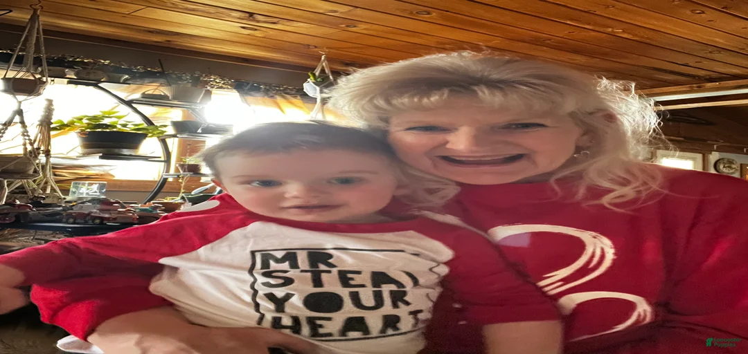 Gallery Image {{count}}