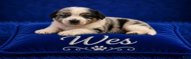 Wes