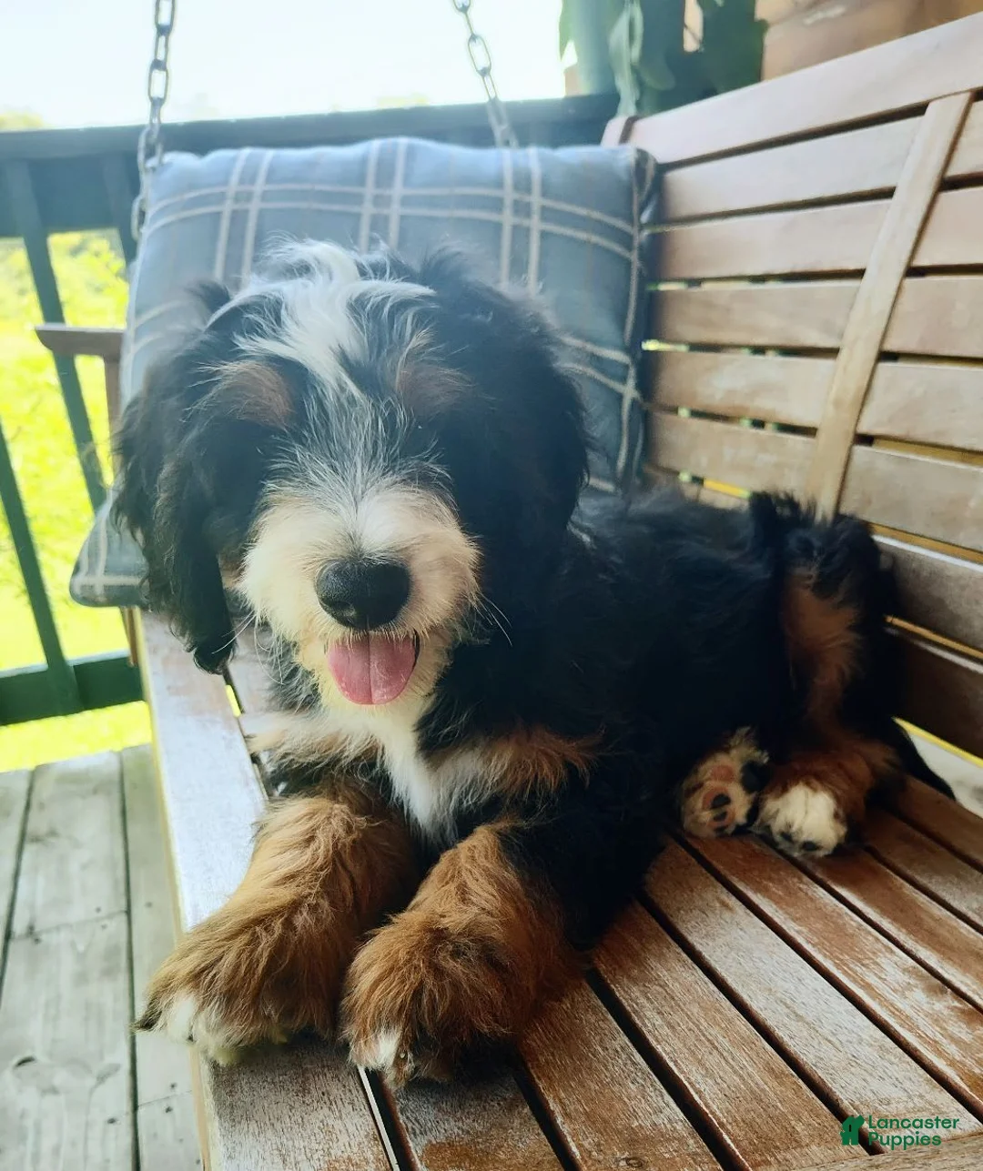 Gallery Image {{count}}