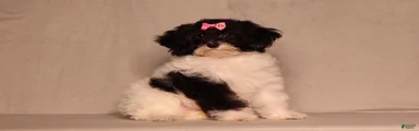 Winnie