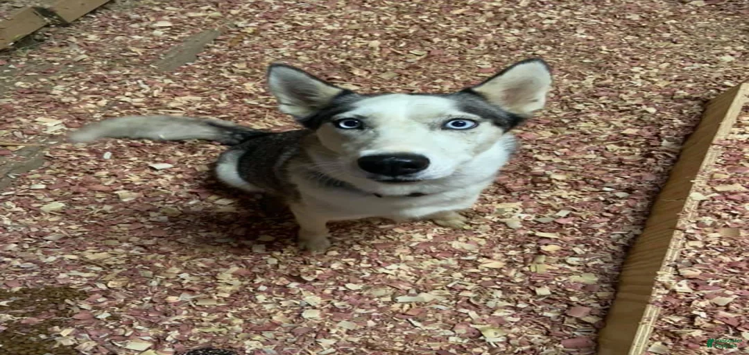 Gallery Image {{count}}