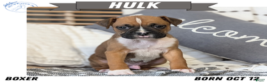 Hulk
