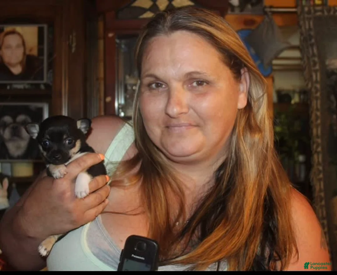 Gallery Image {{count}}