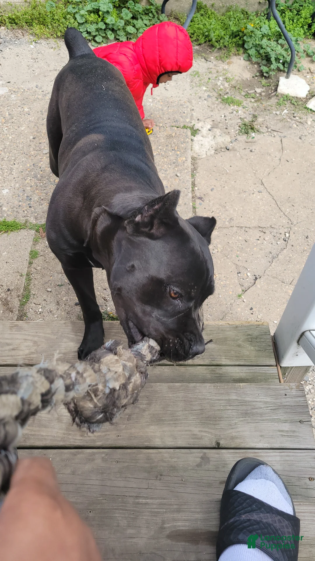 Gallery Image {{count}}