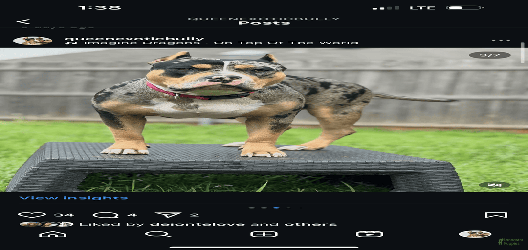 Gallery Image {{count}}