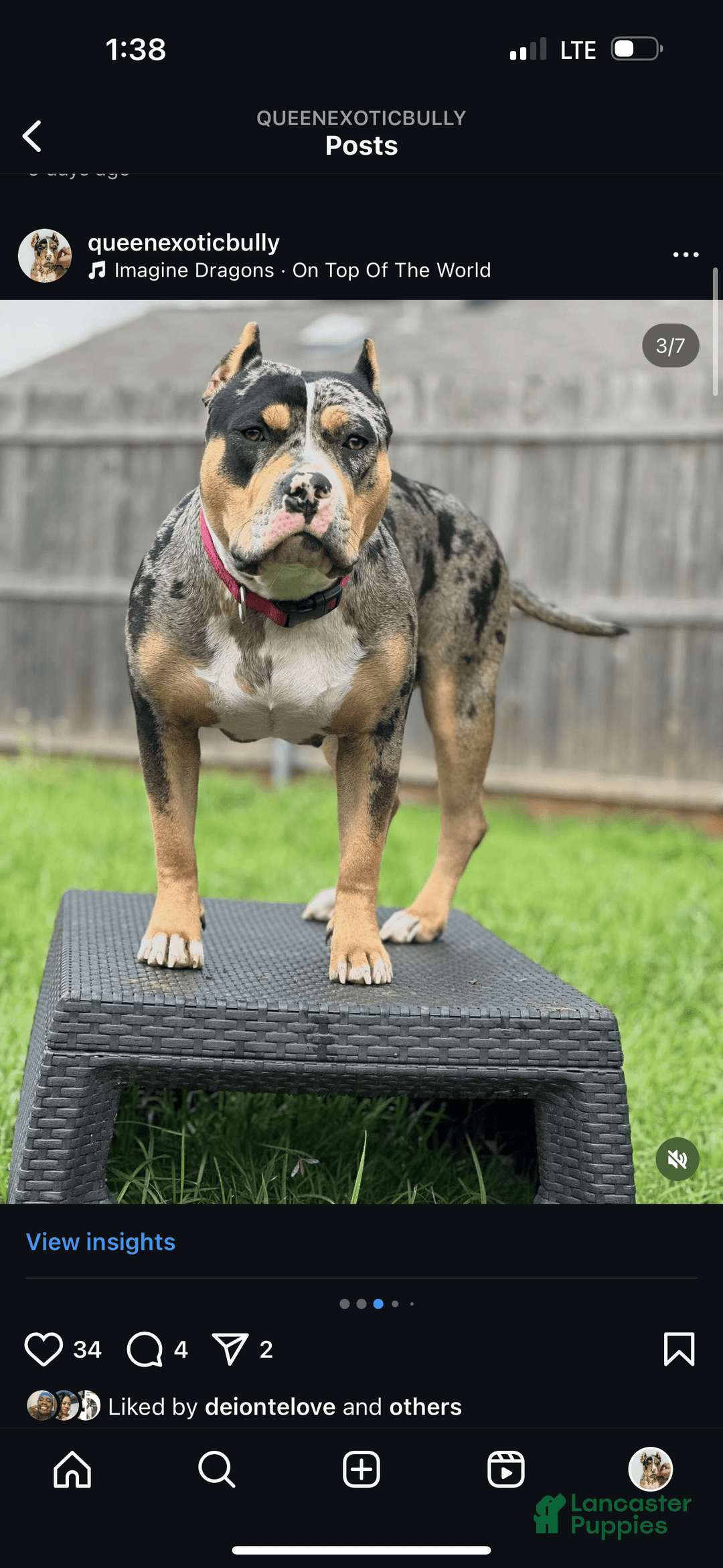 Gallery Image {{count}}