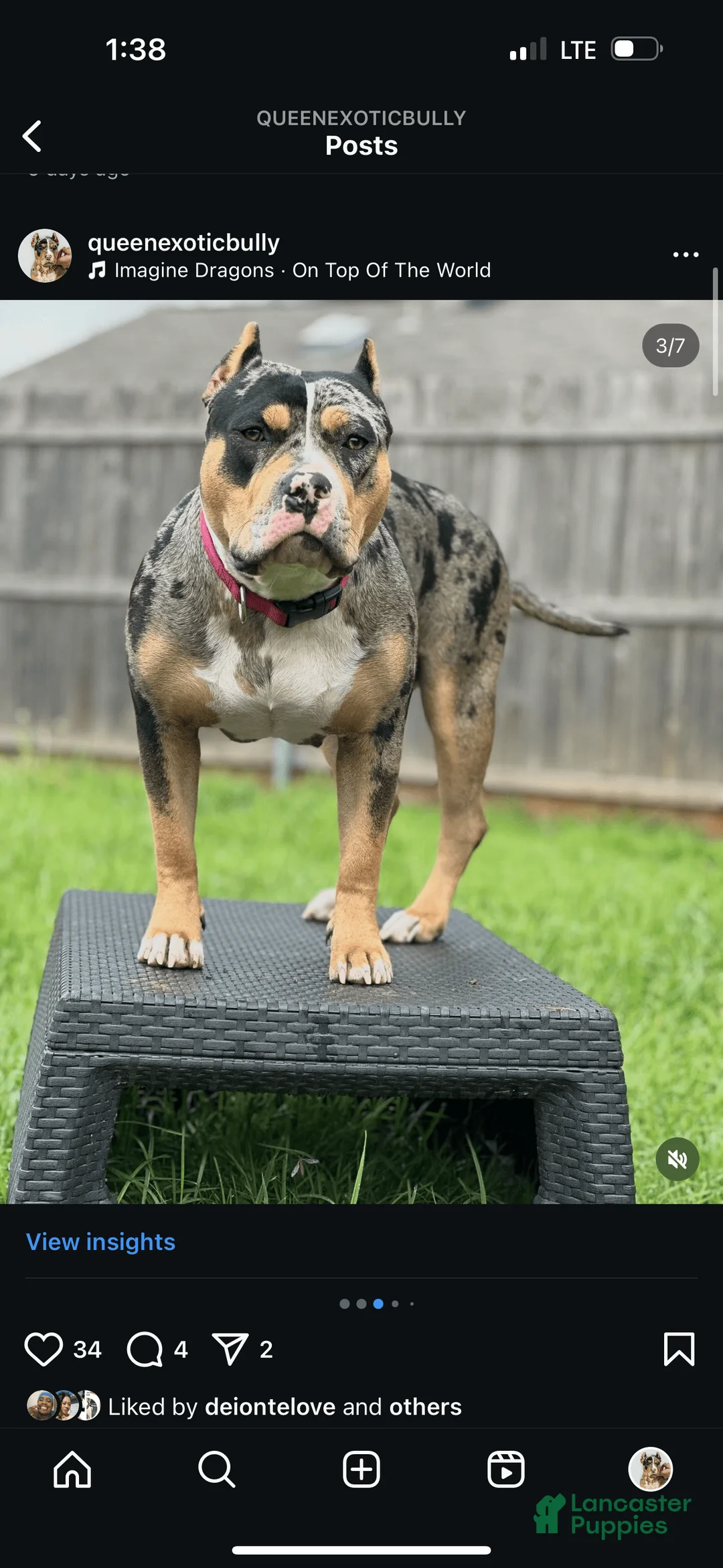 Gallery Image {{count}}