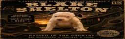 American Bulldog dogs for sale: Blake Shelton - Ad 1