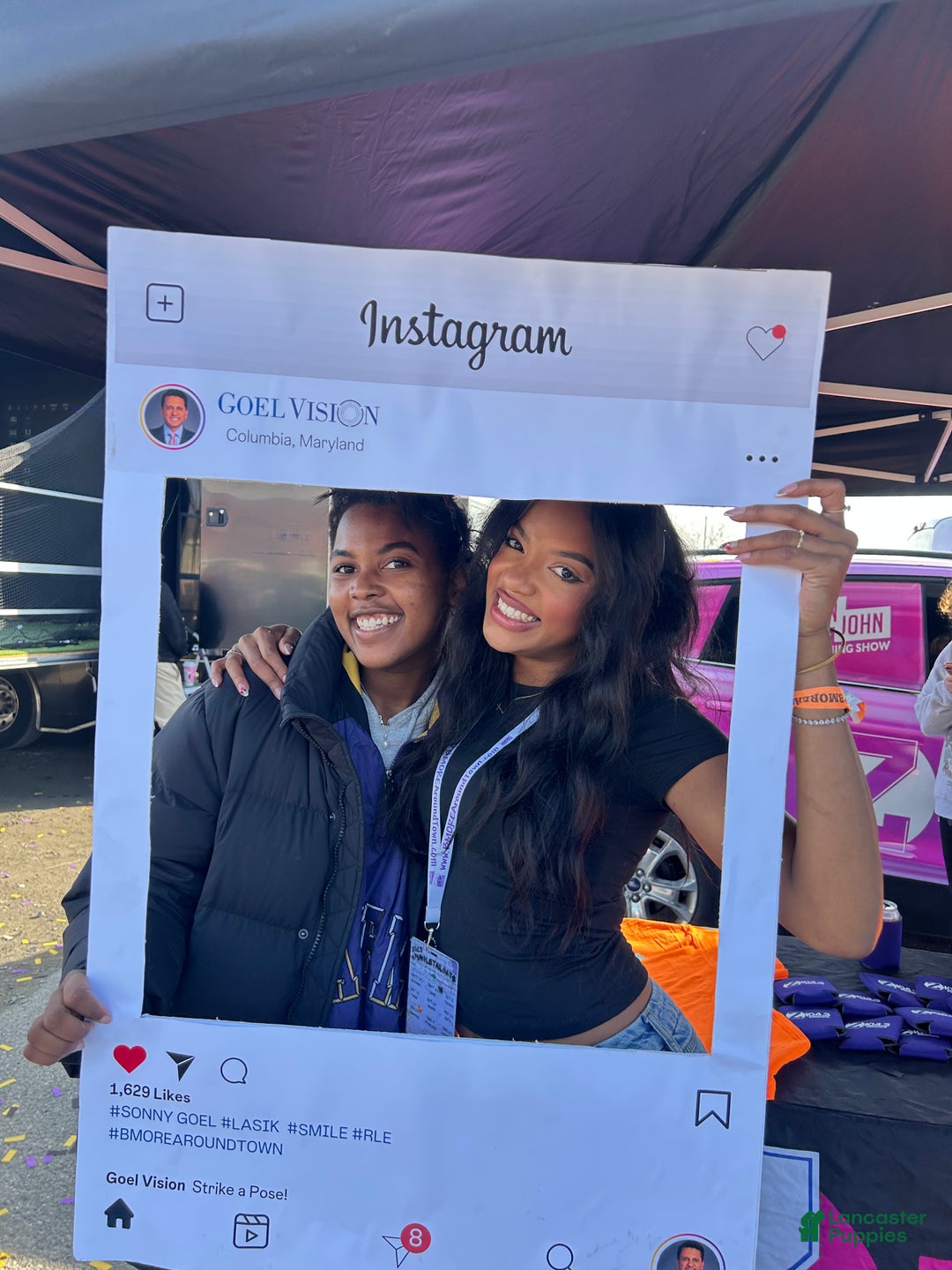 Shih Tzu dogs for sale: Lucy - Ad 10