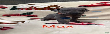 Max
