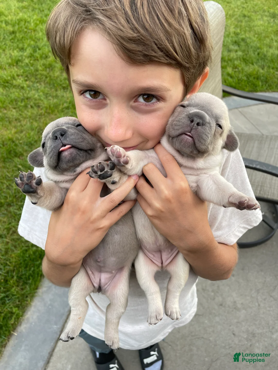 Gallery Image {{count}}