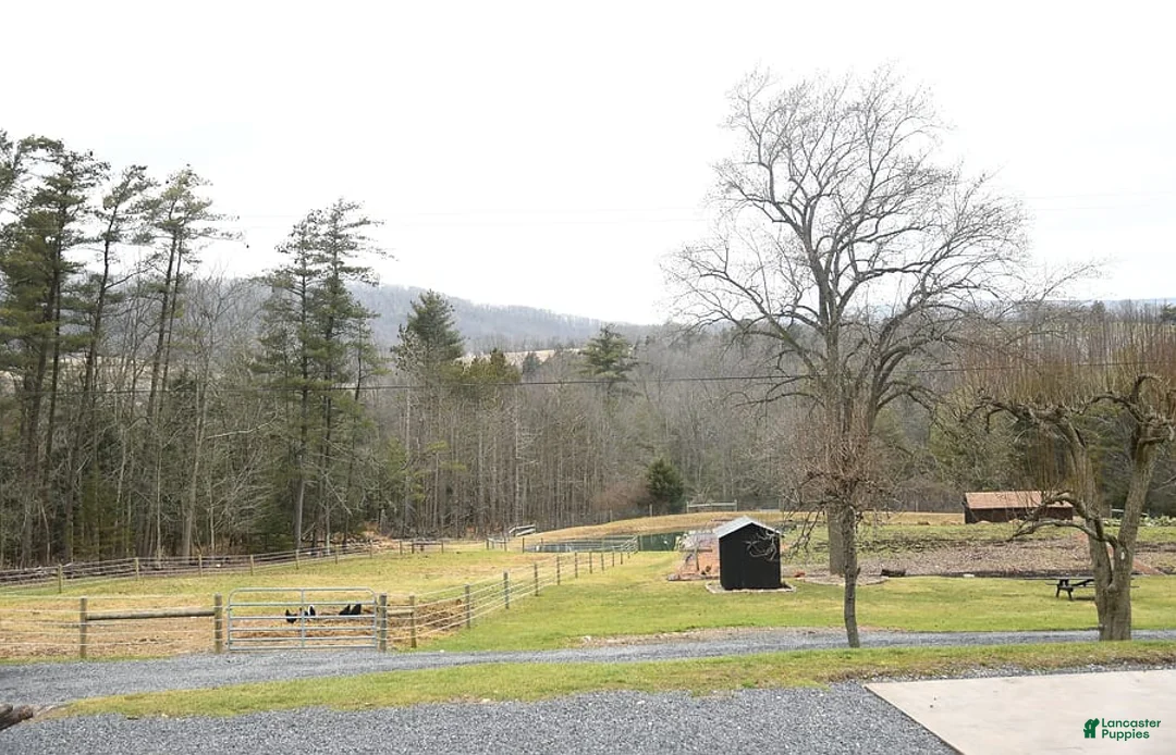 Gallery Image {{count}}