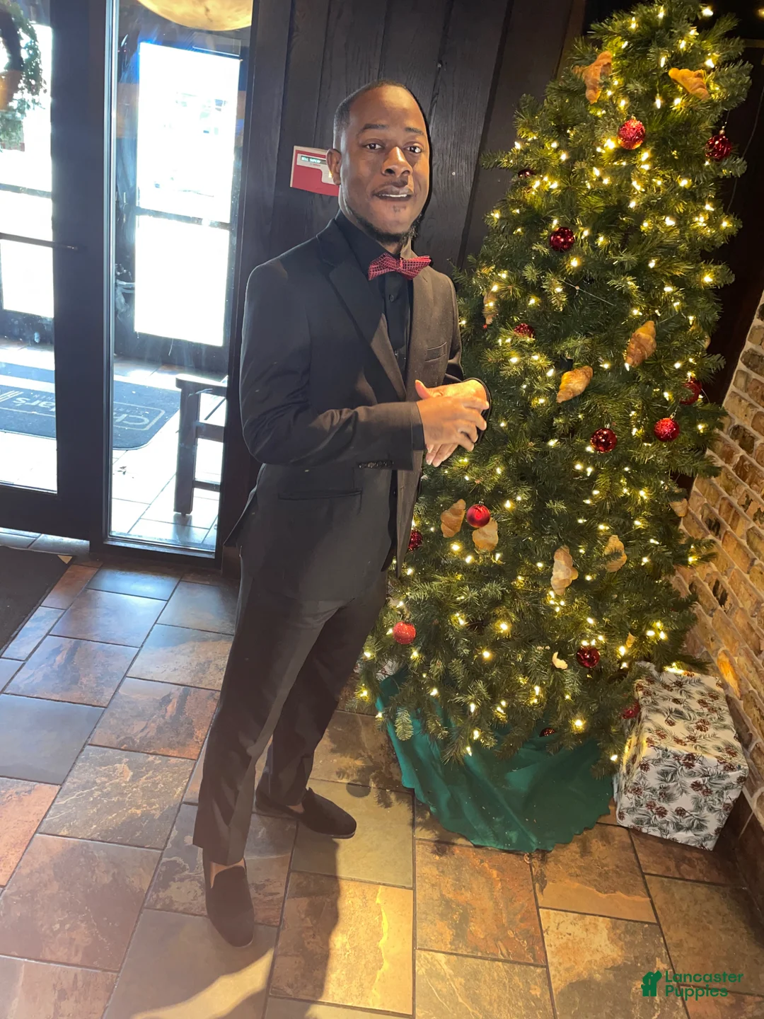 Gallery Image {{count}}