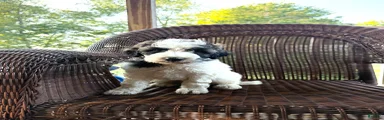 Leroy 