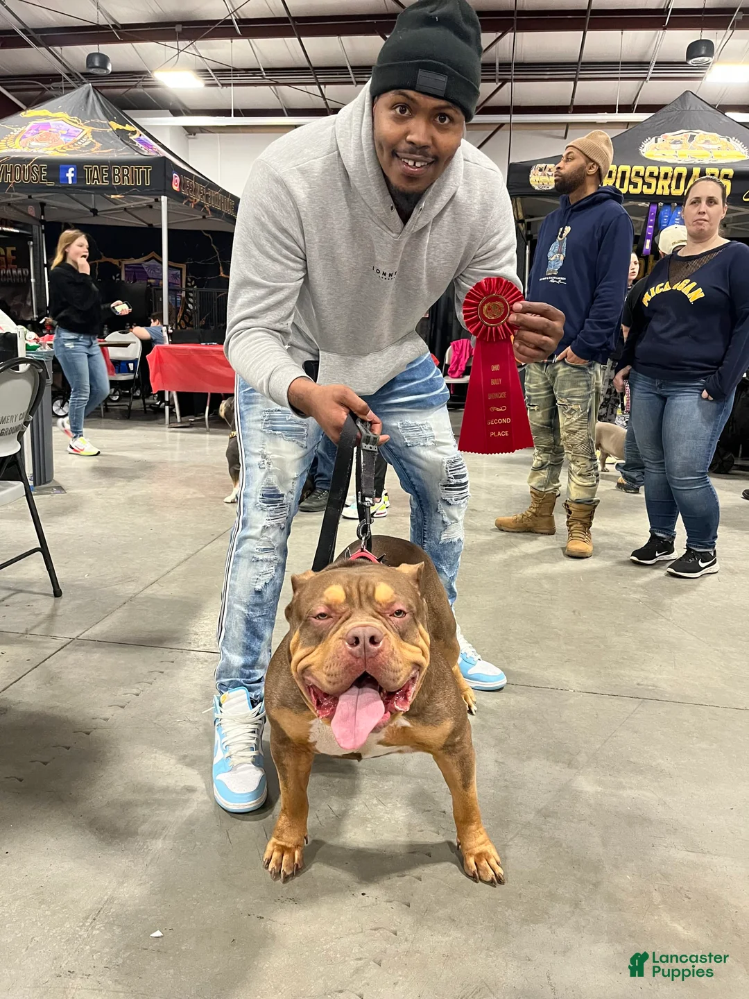 Gallery Image {{count}}