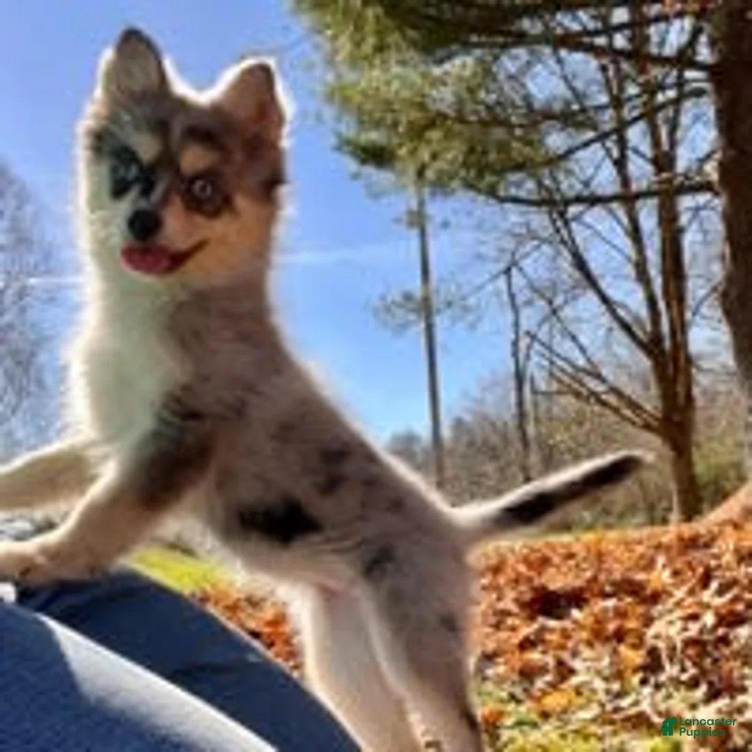 Gallery Image {{count}}