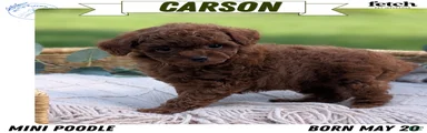 Carson