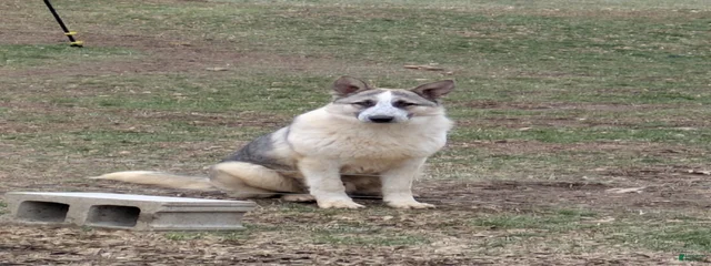 Luchiouz 