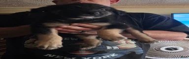 Keegan